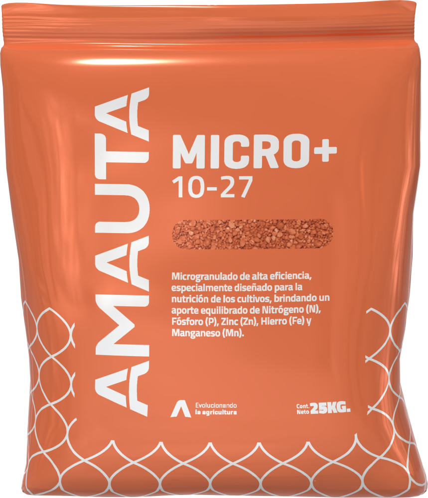 MICRO+ 10-27