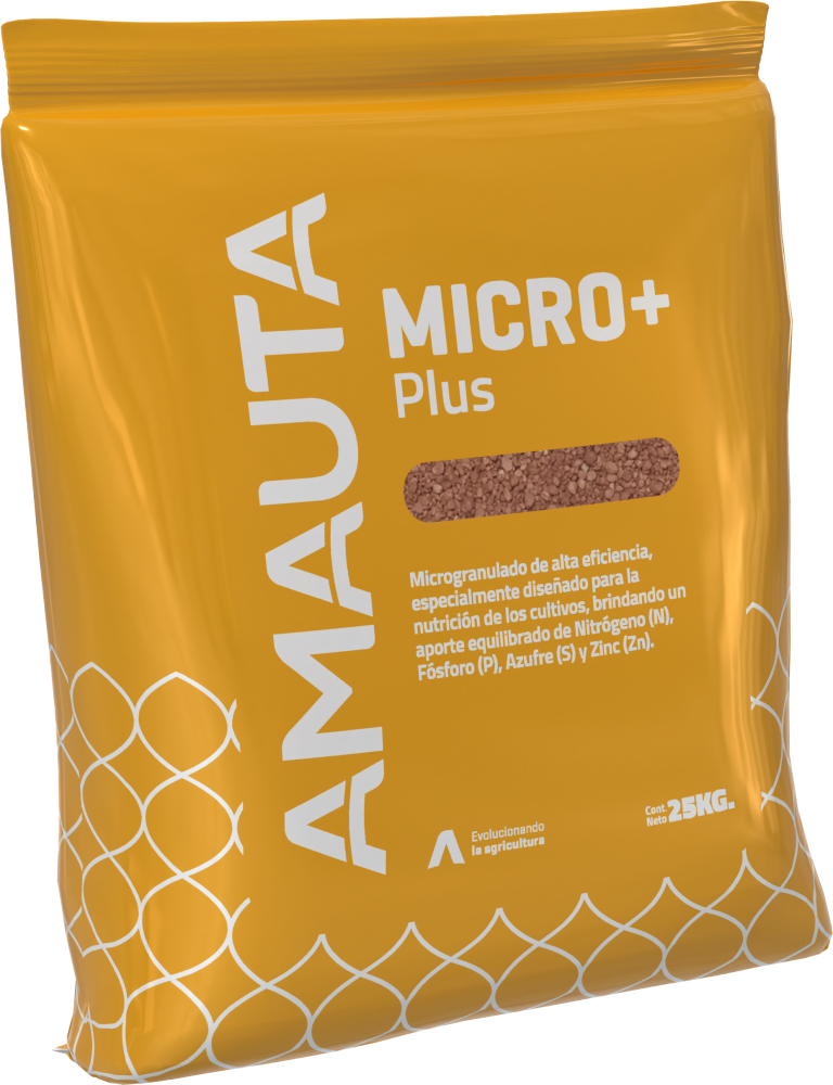 MICRO+ Plus