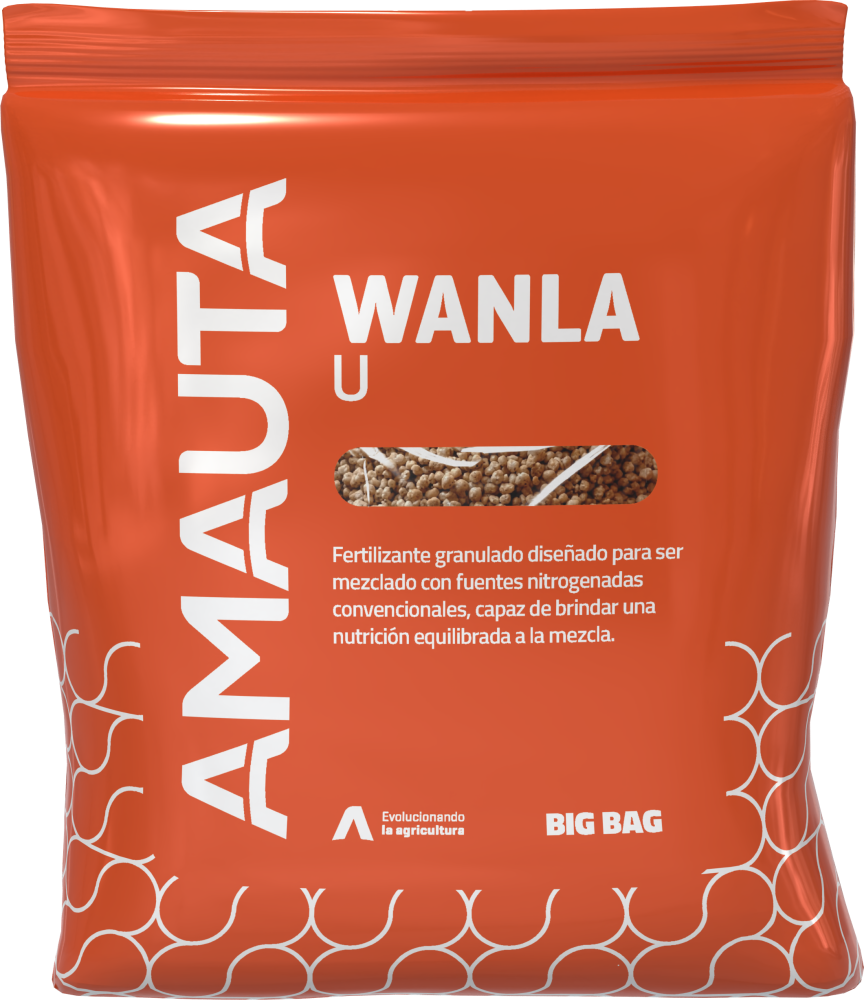 WANLA U