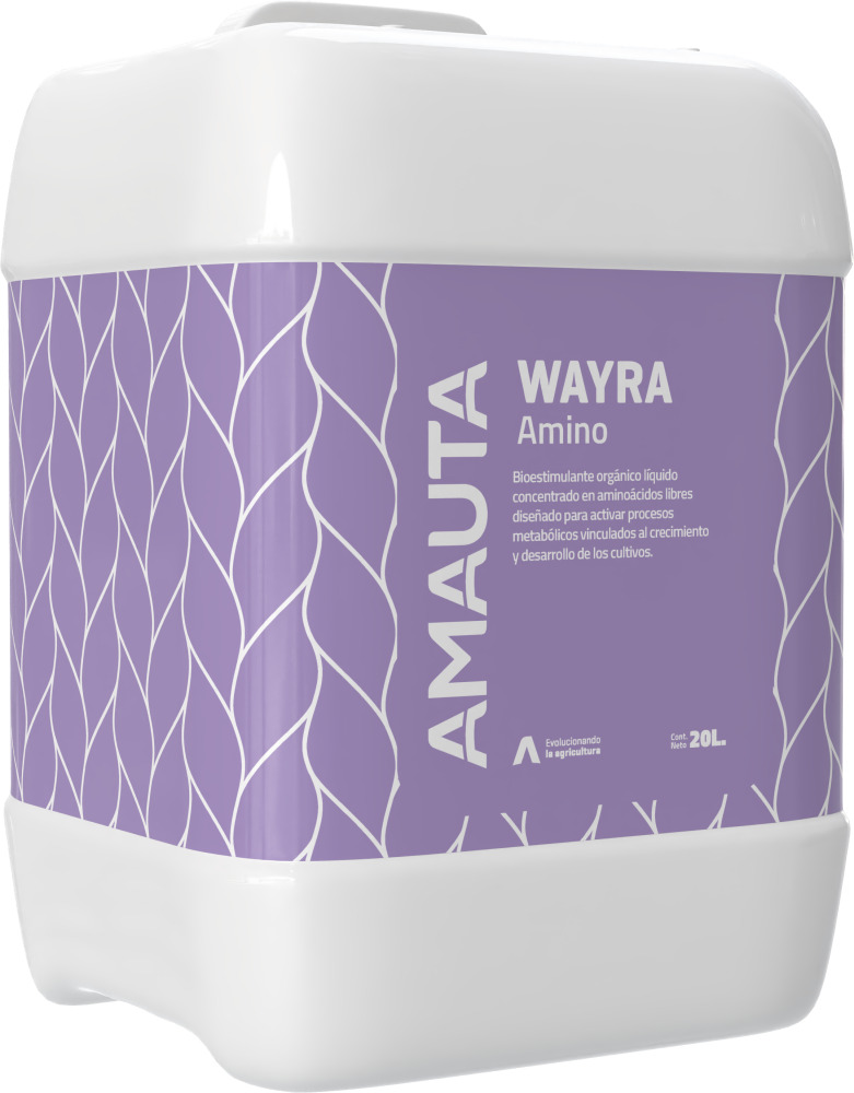 WAYRA Amino