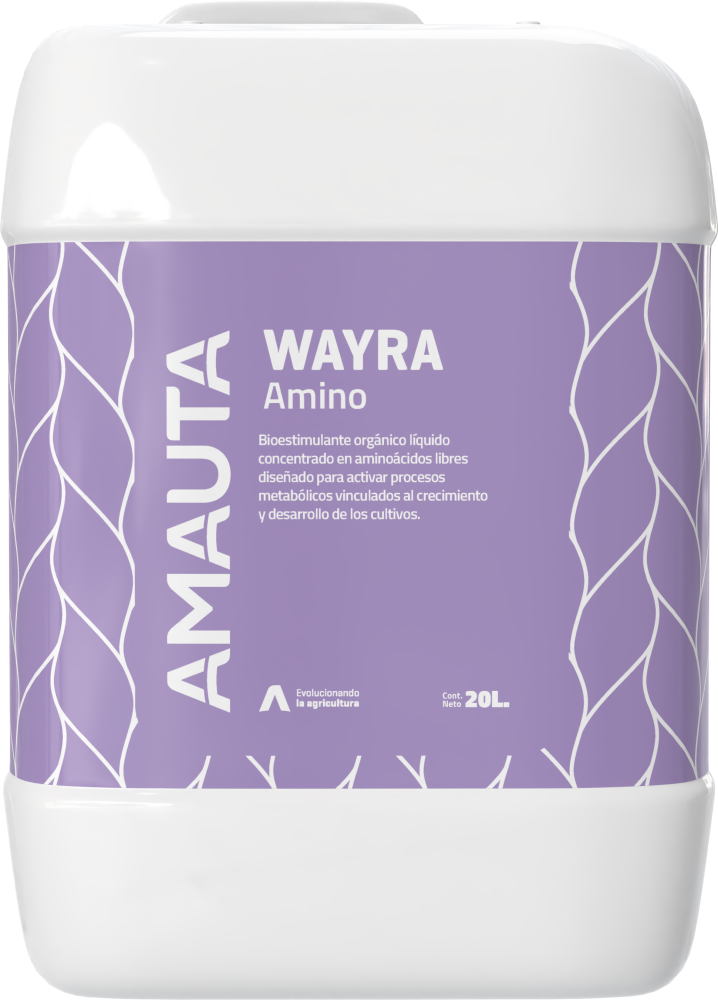 WAYRA Amino