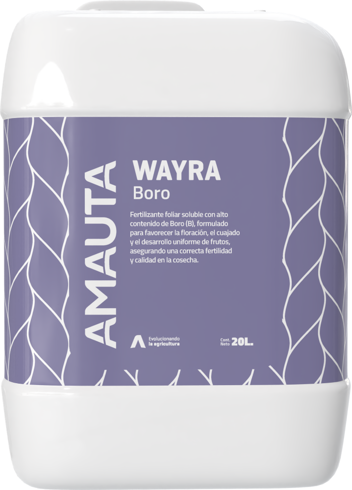 WAYRA Boro
