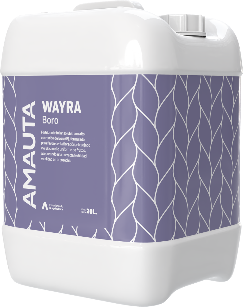 WAYRA Boro