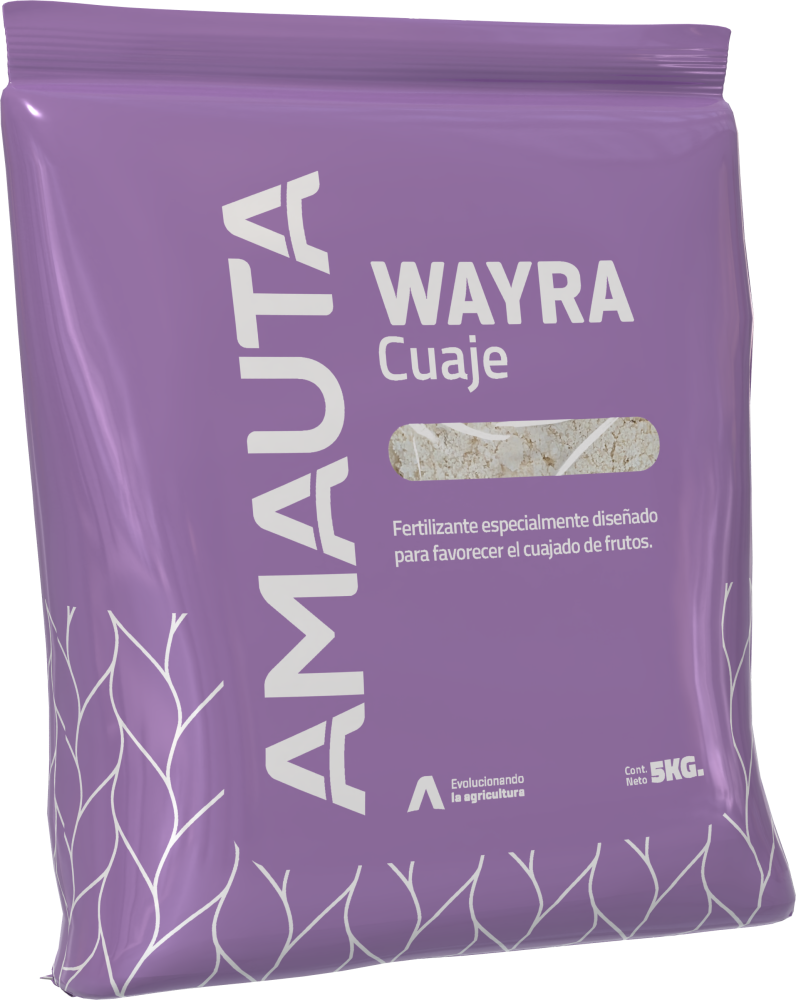 WAYRA Cuaje