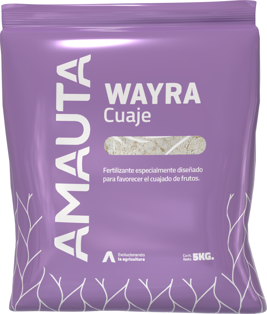 WAYRA Cuaje