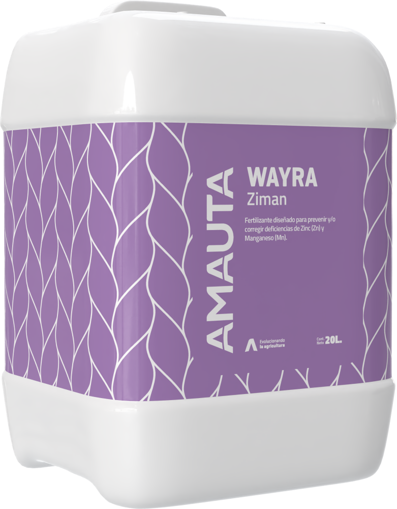 WAYRA Ziman