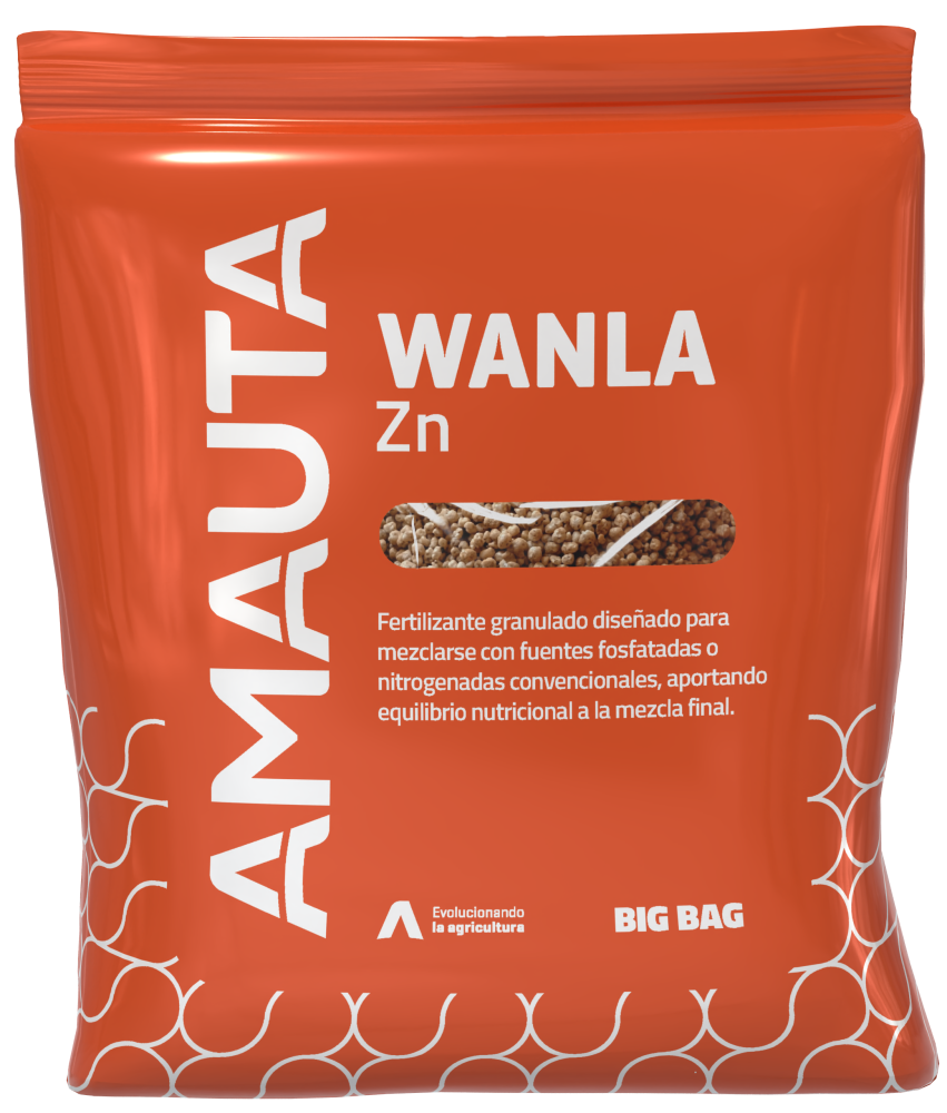 WANLA Zn