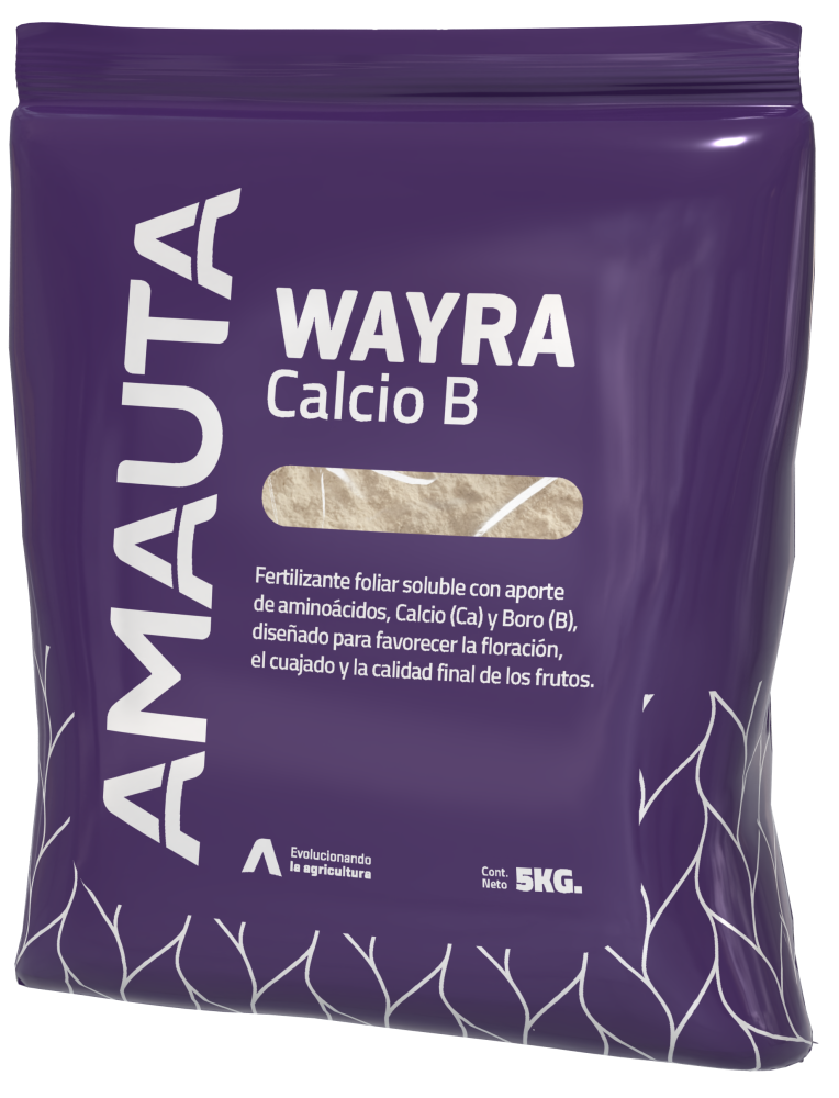 WAYRA Calcio B