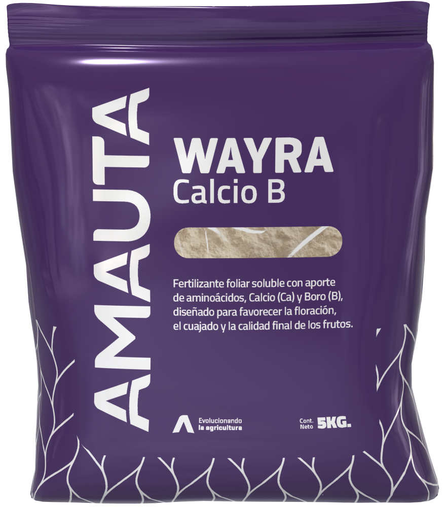 WAYRA Calcio B